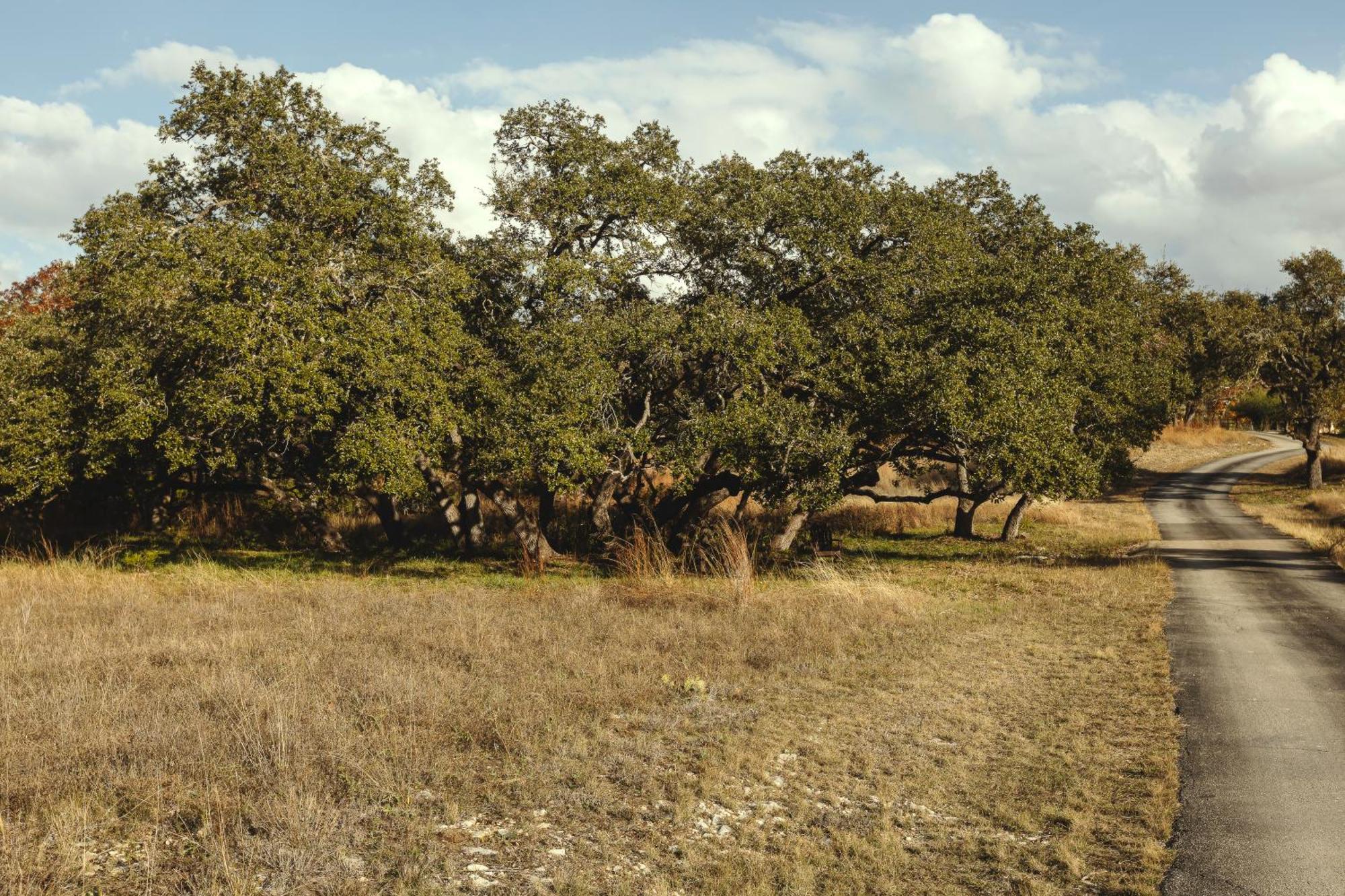 Blair House Inn And Spa Wimberley Exterior foto